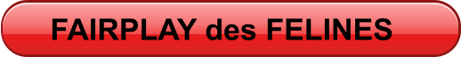 FAIRPLAY des FELINES