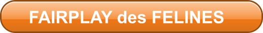 FAIRPLAY des FELINES