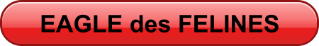 EAGLE des FELINES