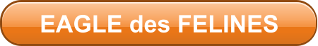 EAGLE des FELINES