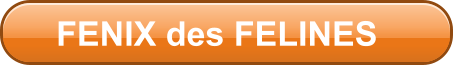 FENIX des FELINES