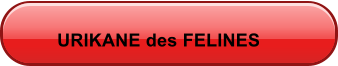 URIKANE des FELINES