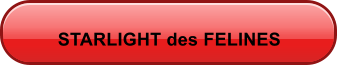 STARLIGHT des FELINES