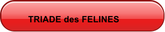 TRIADE des FELINES