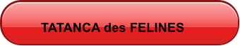 TATANCA des FELINES