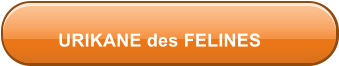 URIKANE des FELINES