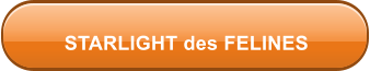 STARLIGHT des FELINES