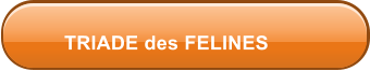 TRIADE des FELINES