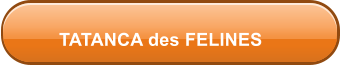 TATANCA des FELINES