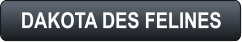 DAKOTA DES FELINES