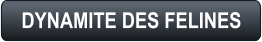 DYNAMITE DES FELINES