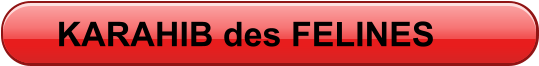 KARAHIB des FELINES