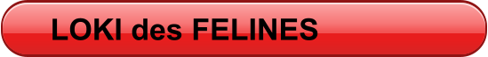 LOKI des FELINES