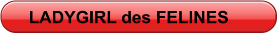 LADYGIRL des FELINES