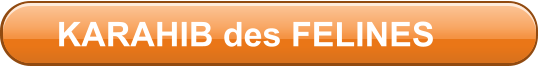 KARAHIB des FELINES