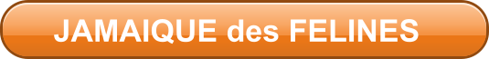 JAMAIQUE des FELINES