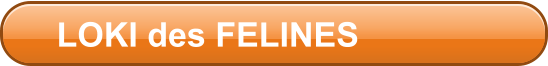 LOKI des FELINES