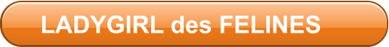 LADYGIRL des FELINES