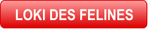 LOKI DES FELINES