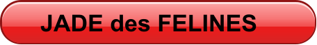 JADE des FELINES