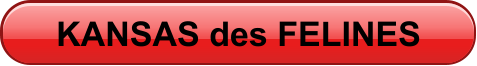 KANSAS des FELINES