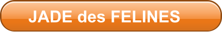 JADE des FELINES
