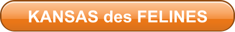 KANSAS des FELINES