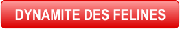 DYNAMITE DES FELINES
