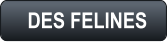 DES FELINES