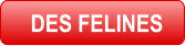 DES FELINES