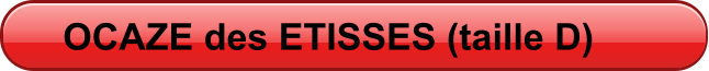 OCAZE des ETISSES (taille D)