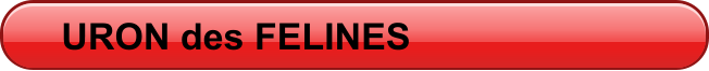 URON des FELINES