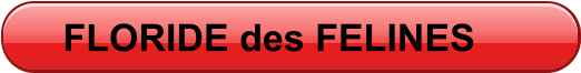 FLORIDE des FELINES
