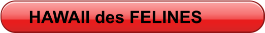 HAWAII des FELINES
