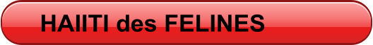 HAIITI des FELINES