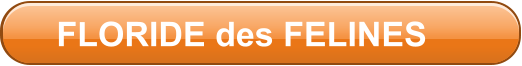FLORIDE des FELINES