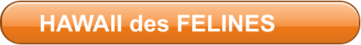 HAWAII des FELINES