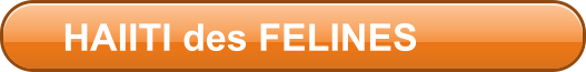 HAIITI des FELINES