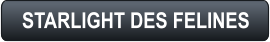 STARLIGHT DES FELINES