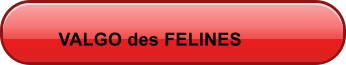 VALGO des FELINES