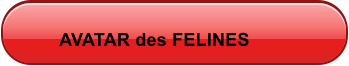 AVATAR des FELINES