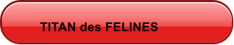 TITAN des FELINES