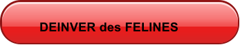 DEINVER des FELINES