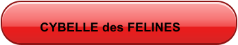 CYBELLE des FELINES