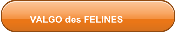 VALGO des FELINES