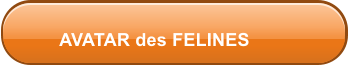 AVATAR des FELINES