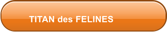 TITAN des FELINES
