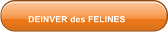 DEINVER des FELINES