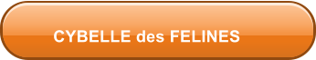 CYBELLE des FELINES
