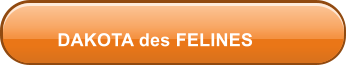 DAKOTA des FELINES